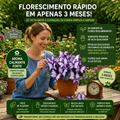 Kit Sementes Flores Borboleta da Lua